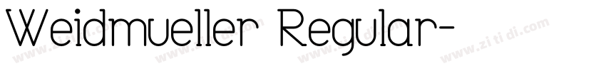 Weidmueller Regular字体转换